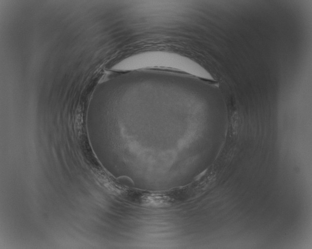 X0000076330372200610201711