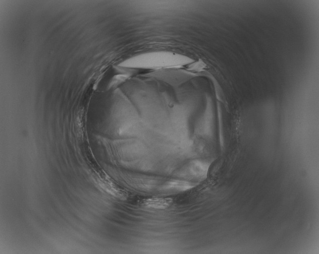 X0000076330373200610201711