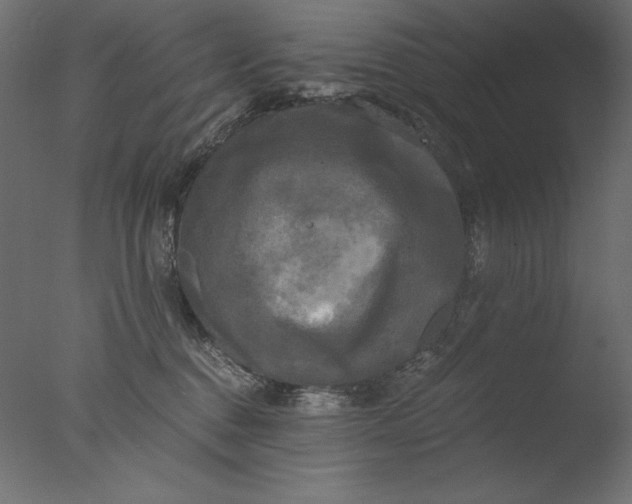 X0000076330376200610201711