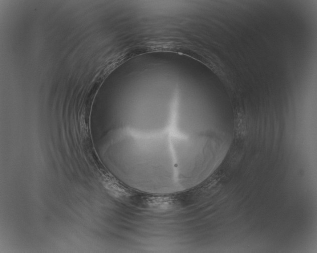 X0000076330377200610201711