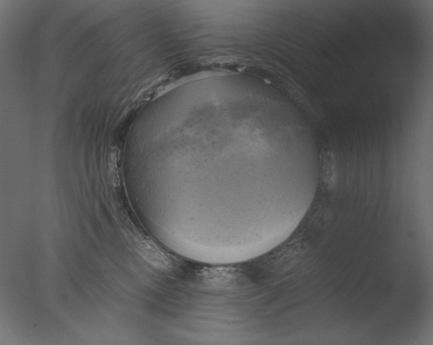 X0000076330378200610201711