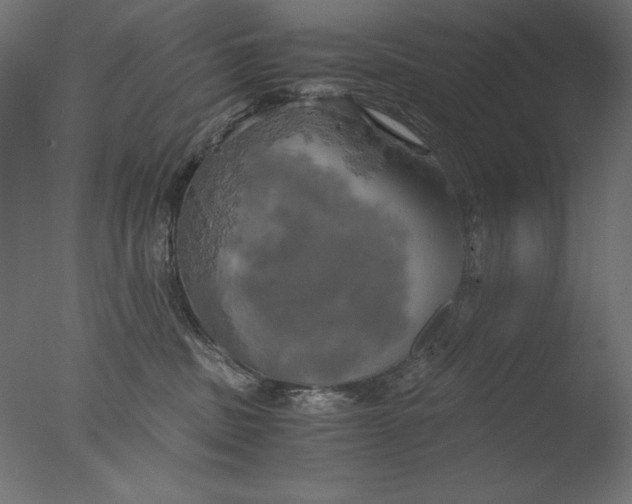 X0000076330379200610201711