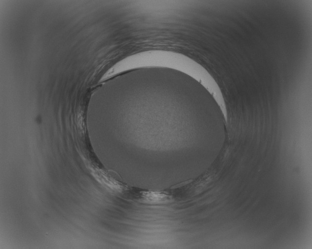 X0000076330380200610201711