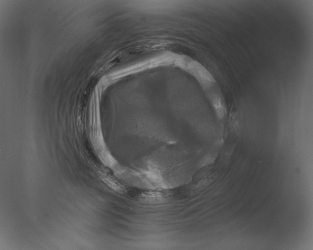 X0000076330381200610201711