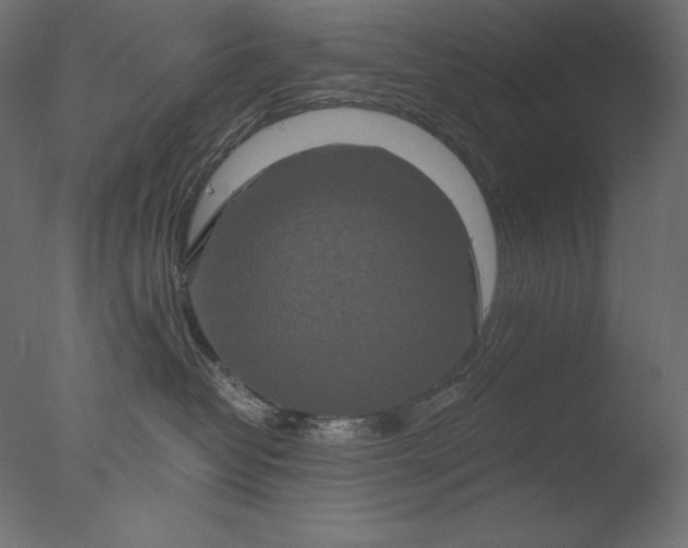 X0000076330382200610201711