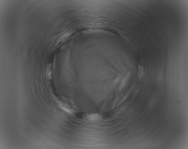 X0000076330383200610201711