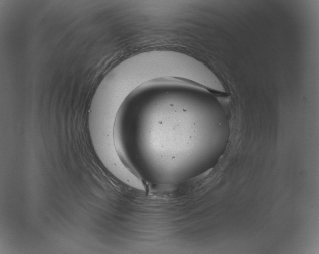 X0000076330384200610201711