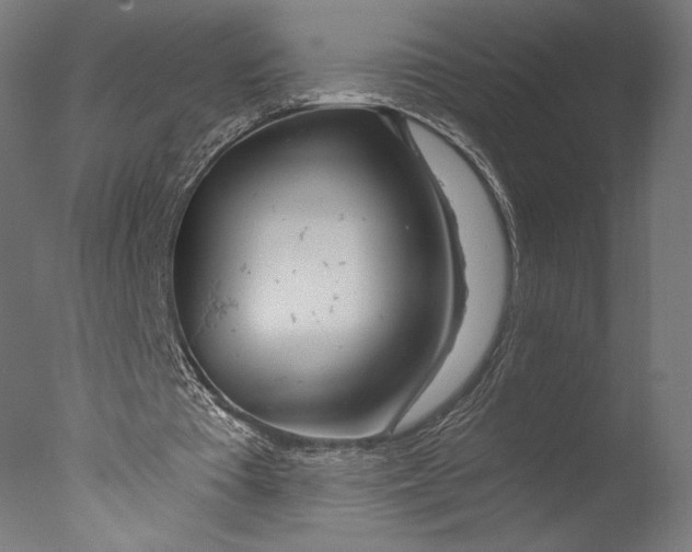 X0000076330385200610201710