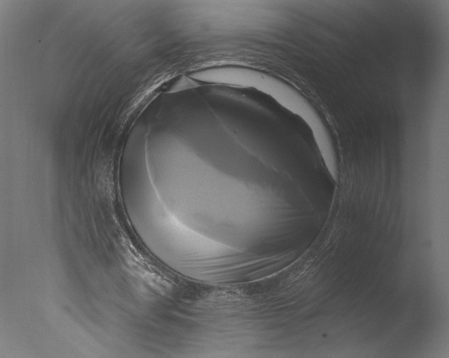 X0000076330386200610201710