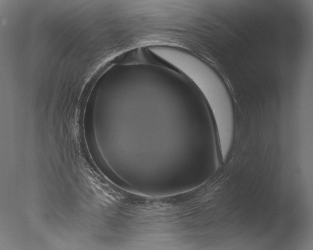 X0000076330387200610201710