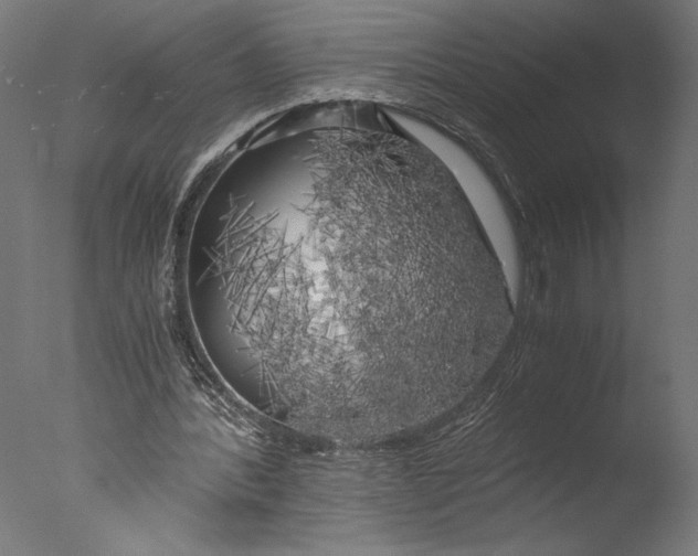 X0000076330388200610201710