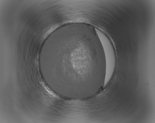 X0000076330389200610201710