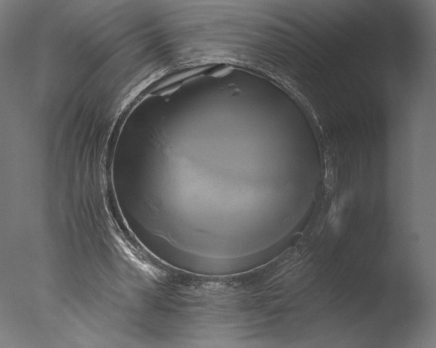 X0000076330390200610201710