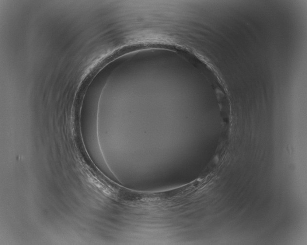 X0000076330391200610201710