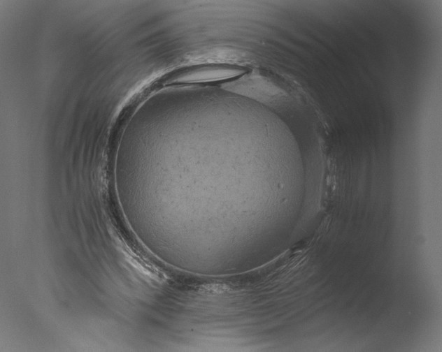 X0000076330392200610201710