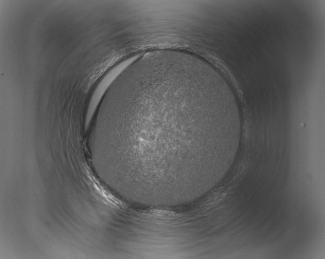 X0000076330393200610201710