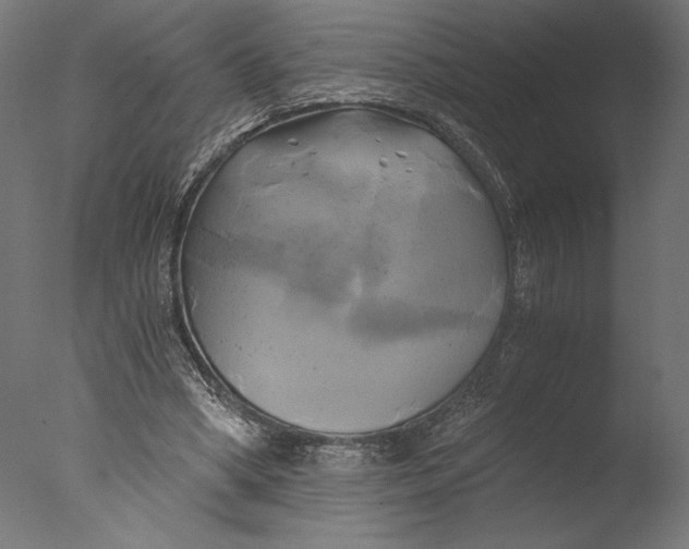 X0000076330394200610201710