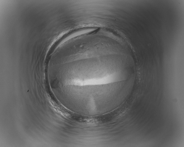 X0000076330395200610201710