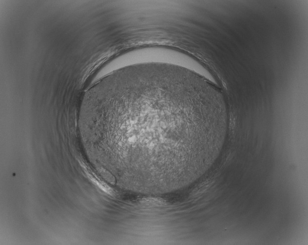 X0000076330397200610201710