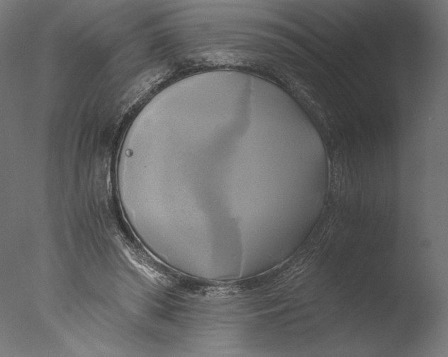 X0000076330398200610201710