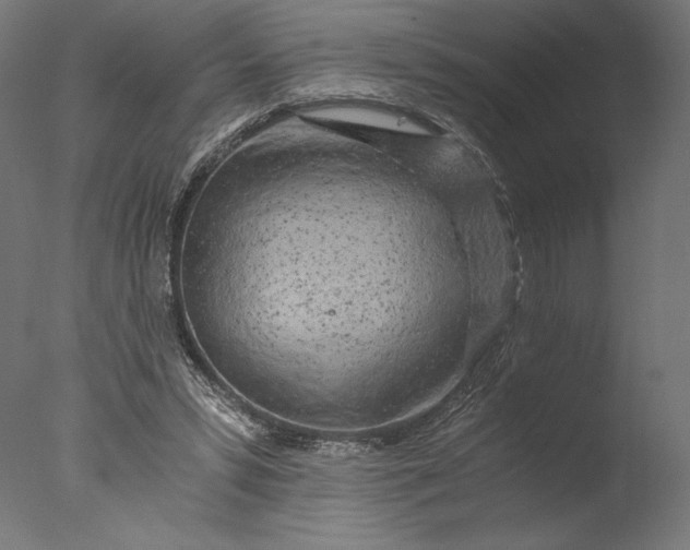 X0000076330399200610201710