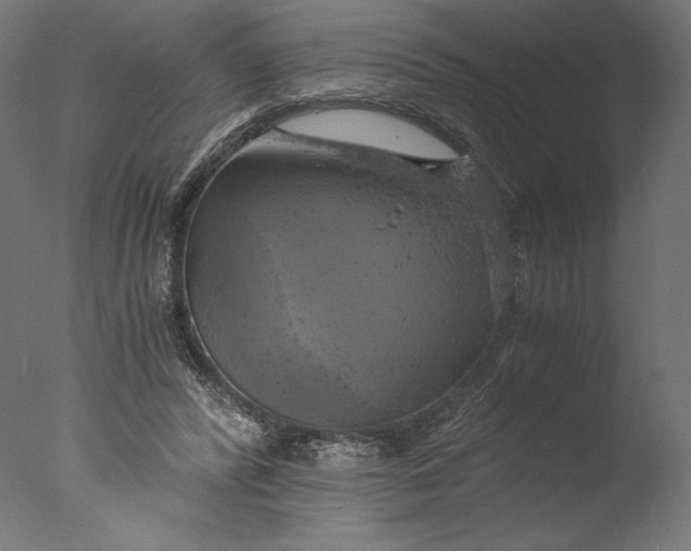 X0000076330400200610201710