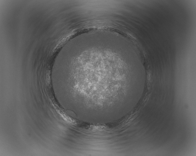 X0000076330401200610201710