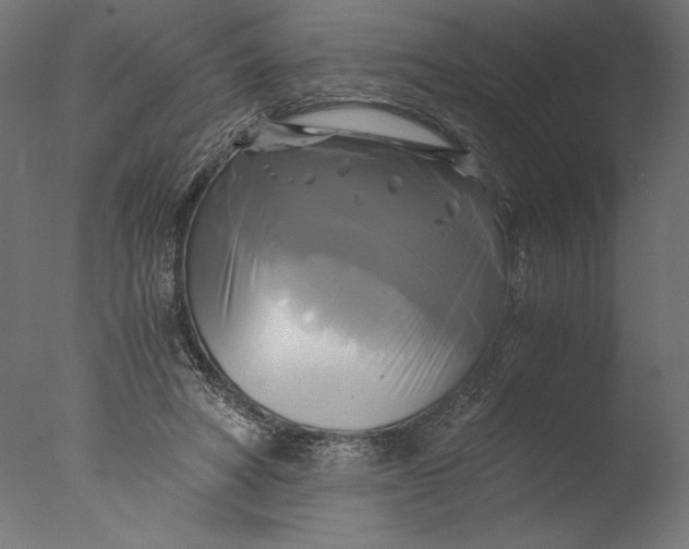 X0000076330402200610201710