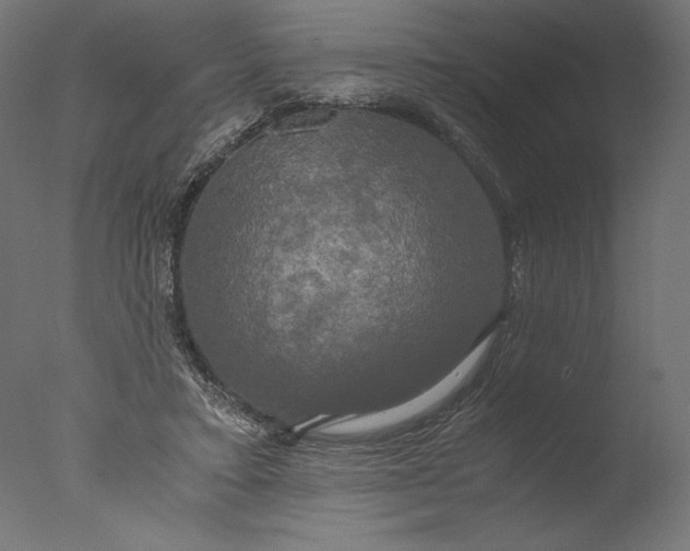 X0000076330403200610201710