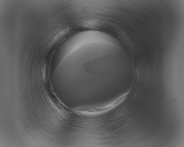 X0000076330404200610201710