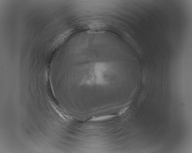 X0000076330405200610201710