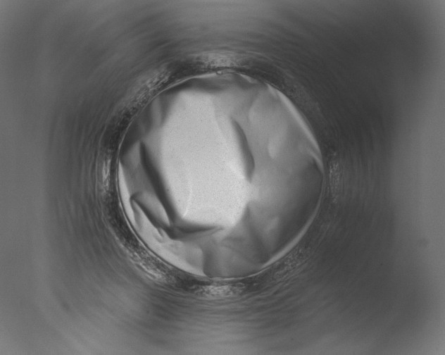 X0000076330406200610201710