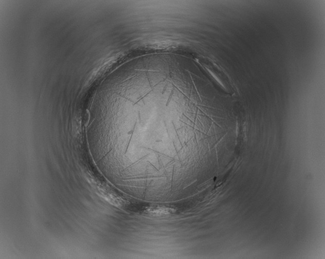 X0000076330407200610201710