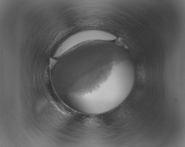 X0000076330408200610201710