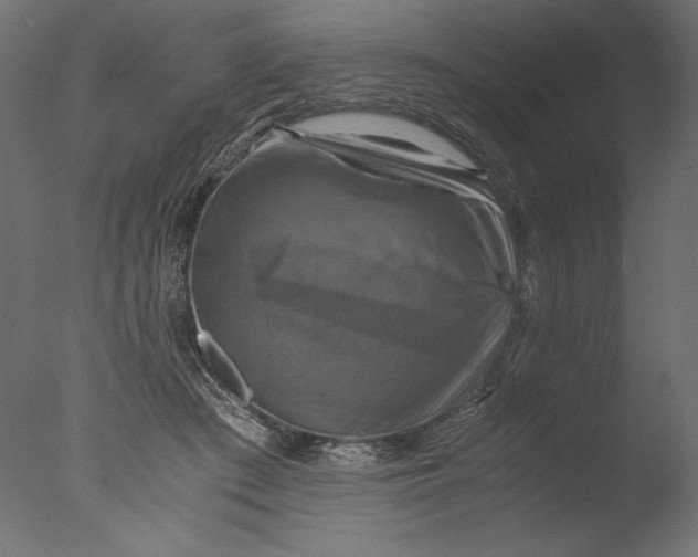 X0000076330409200610201710