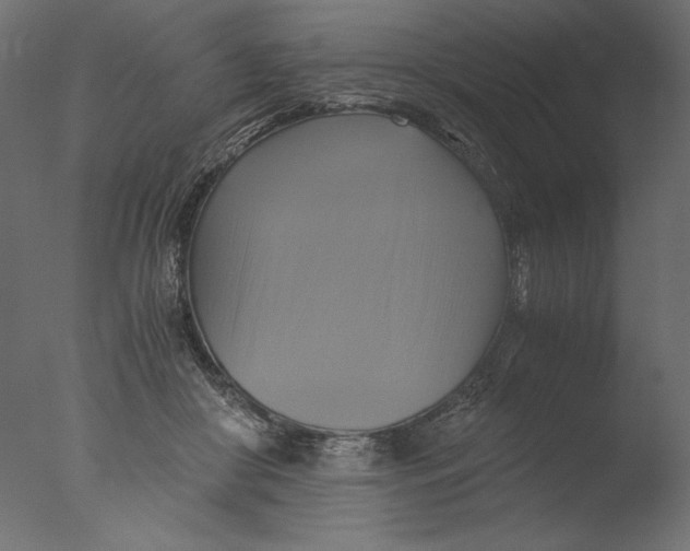 X0000076330410200610201710