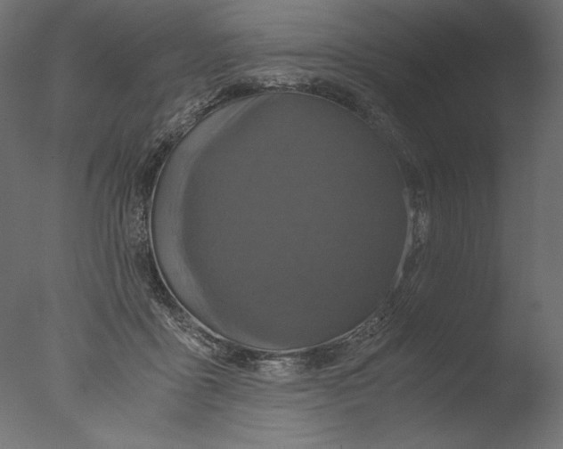 X0000076330411200610201710