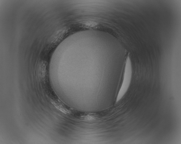 X0000076330412200610201710