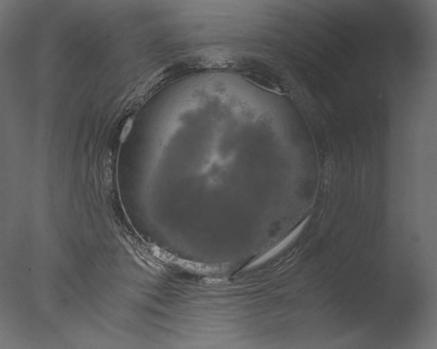 X0000076330413200610201710