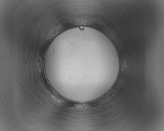 X0000076330414200610201710