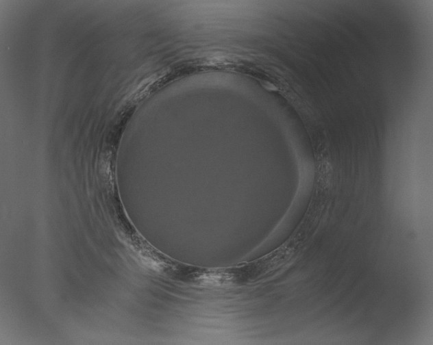 X0000076330415200610201710