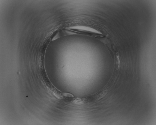 X0000076330416200610201710