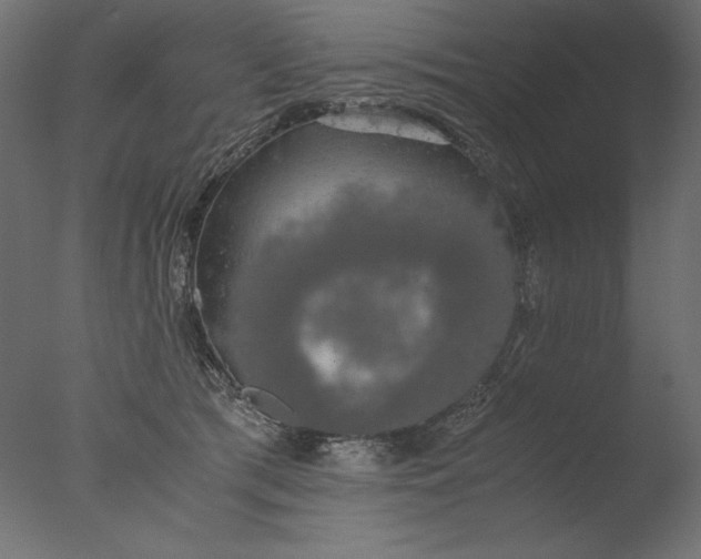 X0000076330417200610201710