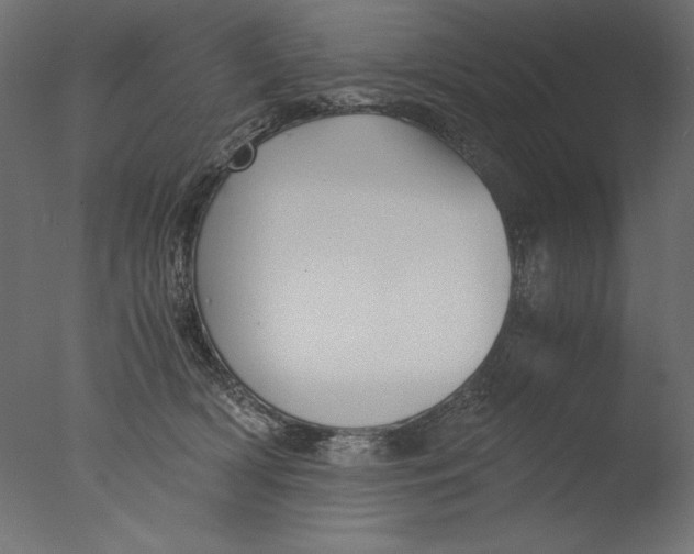 X0000076330418200610201710