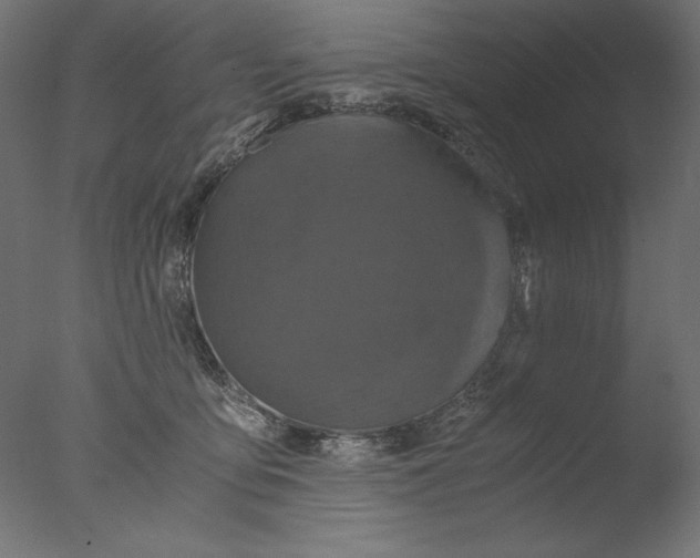 X0000076330419200610201710