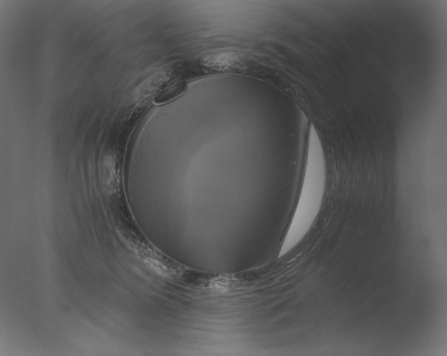 X0000076330420200610201710