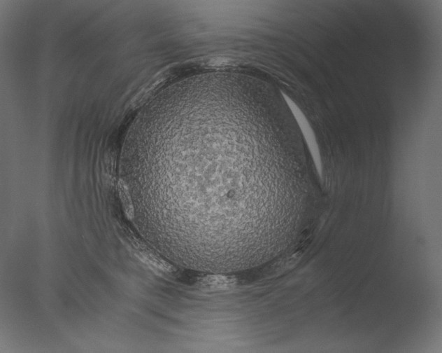 X0000076330421200610201710