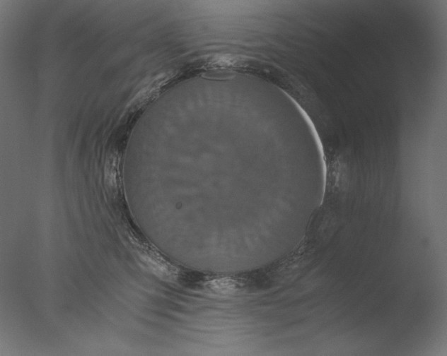 X0000076330423200610201710