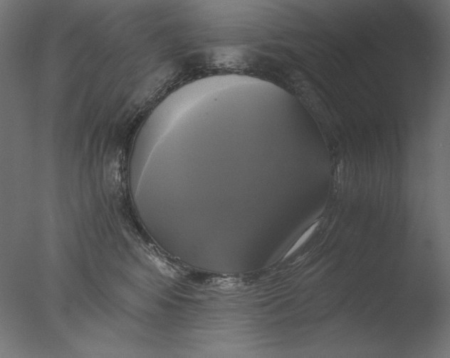 X0000076330424200610201710