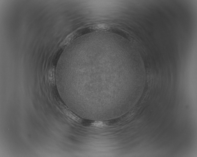 X0000076330425200610201709